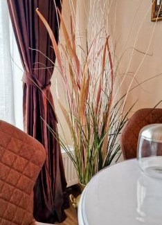 Sinaia Apartment | Snowflake Condo