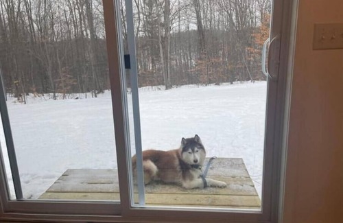 Gaylord House | Snowmobile from your door-WIRELESS WIFI- SMART TV TO STREAM- RELAX-DOG FRIENDLY