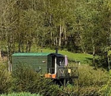 Hadlow Down House | Snug & Secluded Lakeside Shepherds Hut 'Carp'