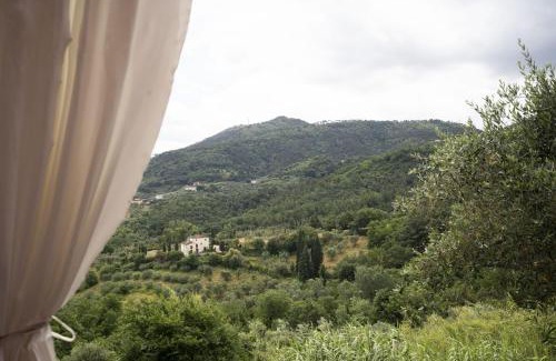 Giugnano House | Società agricola Scerba srl