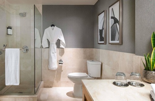 Rush and Division Hotel | Sofitel Chicago Magnificent Mile