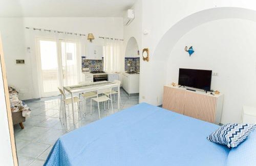 Le Forna Apartment | SoleMarePonza Appartamento Cocò