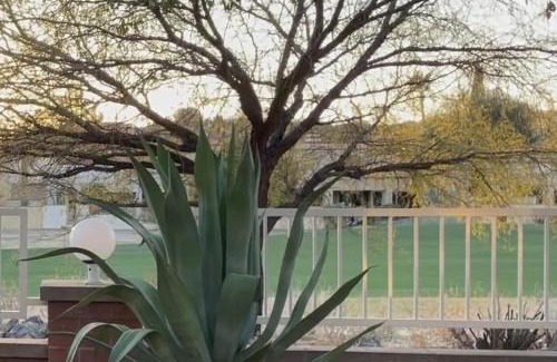 Casas Adobes House | Solstice Sanctuary