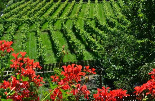 Rifiano Bed & Breakfast | Sonnbichl