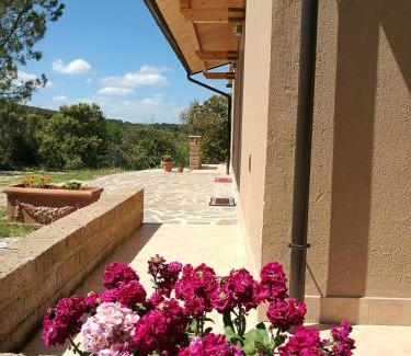 Massa Marittima House | Sonnellino in Maremma