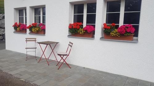 Adelboden Apartment | Sonnen-Panorama