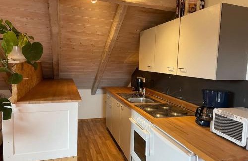 Heroldsberg Apartment | Sonnige 2-Zimmer Wohnung unterm Dach