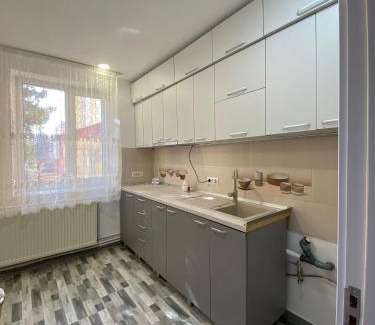 Tirgu Neamt Apartment | SorinaApartament