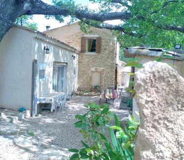 Lambesc House | Sous un chêne bicentenaire