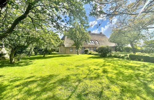 Hasselberg Apartment | South - fireplace, shower bath, terrace, parking space, close to the beach, child-friendly