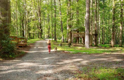 Saluda House | South Fork cabin at Cabin Fever in NC