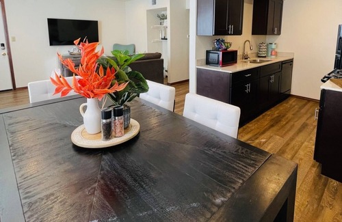 Norman Apartment | [SP 1145 - 1] New OU-2 bed 2 bath apartment close to OU 1