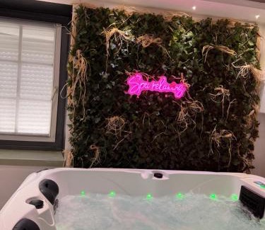 Maisdon-sur-Sevre Apartment | Spa relaxing