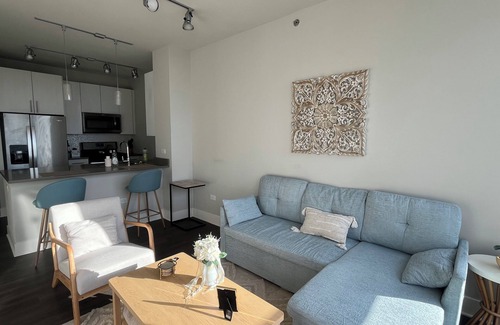 The Loop Apartment | Spacious 1 bd sleeps 4 quiet and near Michigan Ave