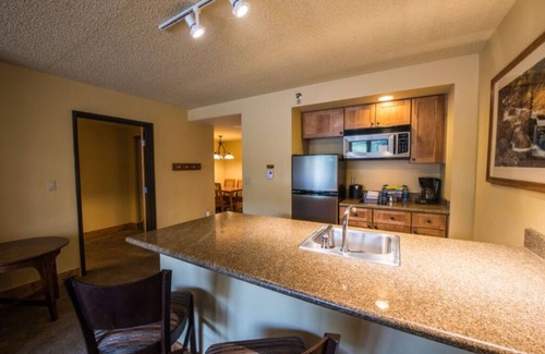 Crested Butte Condo | Spacious 2 Queen Condo, Pet-Friendly + Kitchenette