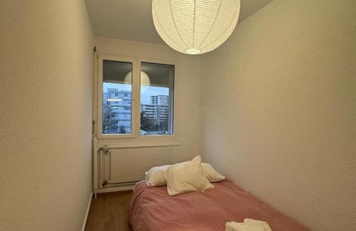 Saint-Jean and Charmilles Apartment | Spacious 3 bedroom duplex, Netflix, remote work