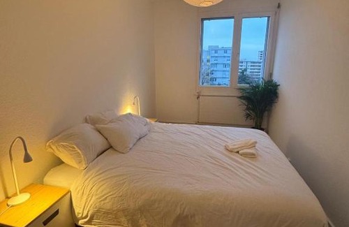 Saint-Jean and Charmilles Apartment | Spacious 3 bedroom duplex, Netflix, remote work