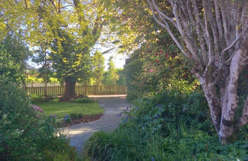 Riwaka House | Spacious 4-bedroom, dog friendly family home in Brooklyn.