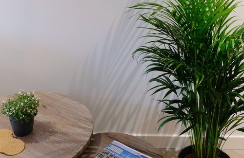 Eindhoven City Center Apartment | Spacious 65m² Apartment in the City Centre of Eindhoven
