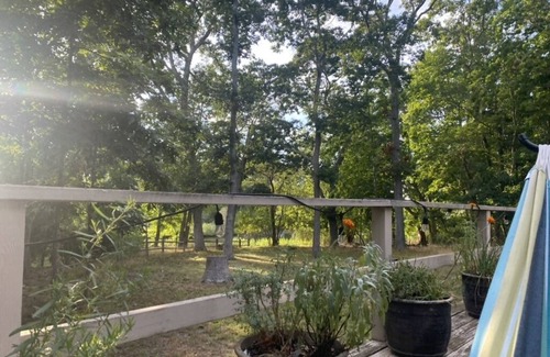 Sag Harbor House | Spacious, airy, quiet, newly renovated home on private wooded lot with pond