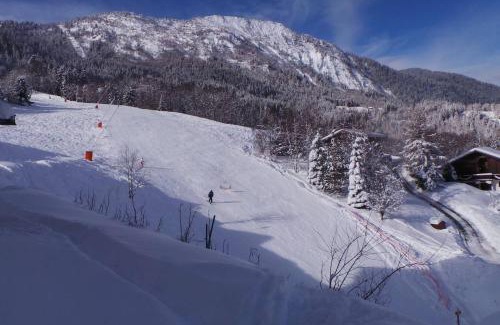 Les Houches Apartment | Spacious and stylish flat at the foot of the Mont-Blanc ideal for ski in ski out