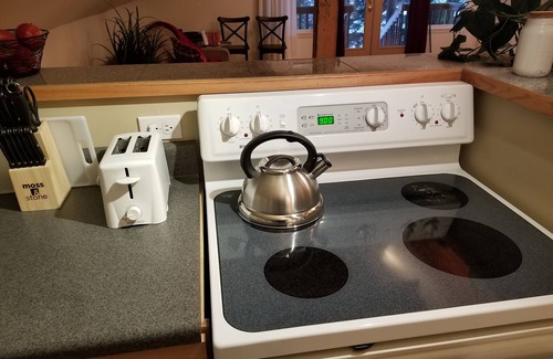 Snoqualmie Pass Apartment | Spacious APARTMENT 1 mile to Summit Ski, fast internet and propane stove