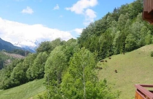 Saint-Jean-de-Sixt Apartment | Spacious & bright flat in a chalet opposite the aravis mountain, south oriented
