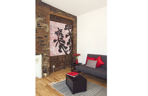 Hunters Point Apartment | Spacious, Bright Artist Loft:Clean/WiFI/free prking/washr/dryr