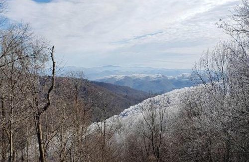 Hot Springs House | Spacious Cabin with Excellent Views/Hot Tub/Wi-Fi