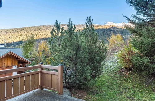 Les Allues Ski Chalet | Spacious Chalet for 14 with Sauna, Fireplace, Near Ski Bus
