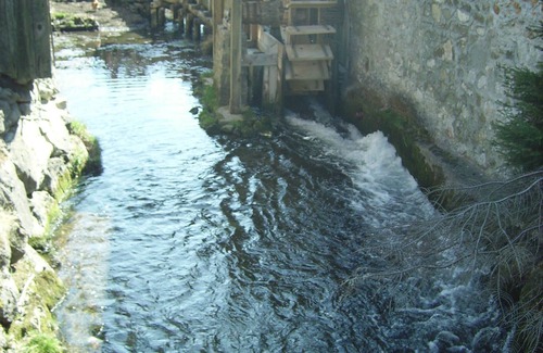 Fischen im Allgaeu Apartment | Spacious, cozy, comfortable Vacation apartment(1950) with large garden by the trout stream, .