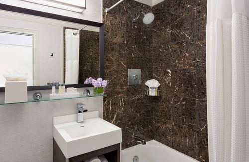 Downtown Boston Hotel | Spacious Downtown Room Close to Public Garden | Pets Are Allowed