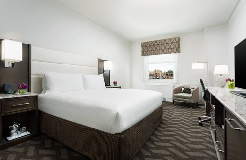 Downtown Boston Hotel | Spacious Downtown Room Close to Public Garden | Pets Are Allowed