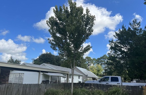 Breaux Bridge House | Spacious family home with plenty of amenities right off I-10.