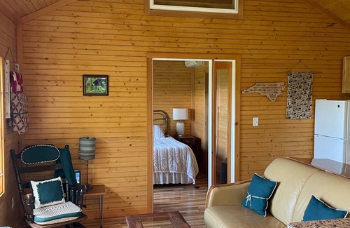 Brevard Apartment | Spacious garage apartment with views of Pisgah Mountain and Blue Ridge Mountains