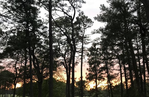 Pinehurst Cottage | Spacious golf course view Studio