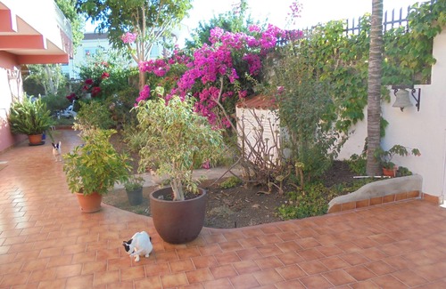 Los Olivos House | SPACIOUS HOUSE IN THE FIELD: Ada´s House 2