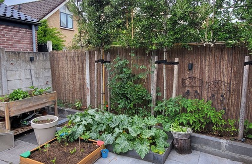 Heiloo Villa | Spacious house with sunny garden, covered terrace and A'dam in 30 min