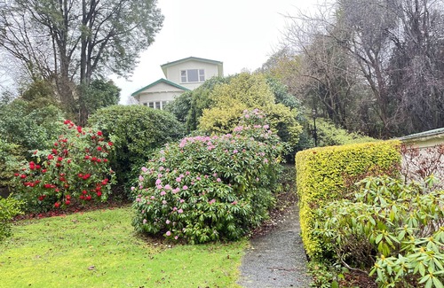 Dunedin House | Spacious & Lively @Maori Hill-Trees, flowers & birds, Cosy and Comfortable