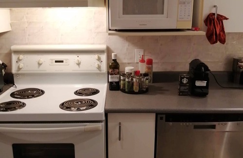 Mount Pleasant Condo | Spacious loft in heart of city, with private entrance
