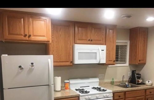 Rochester House | Spacious new completed fully furnished lower level of a town house. Photo ID