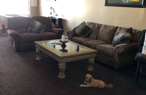 Cienega Springs House | Spacious nice river house just off the water & off roading paradise no pets