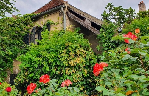 Auxerre House | Spacious old house for 10, courtyard and enclosed garden. Auxerre town center