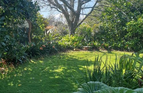 Glendowie Apartment | Spacious, peaceful garden apartment