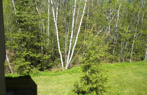Waterville Valley Condo | Spacious Ski Condo