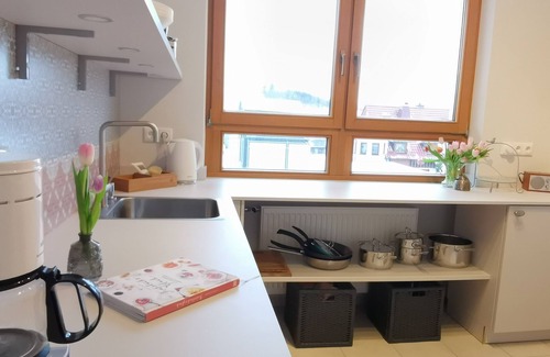 Bad Steben Apartment | Spacious vacation home (185 m²) for up to 9 people with modern kitchen