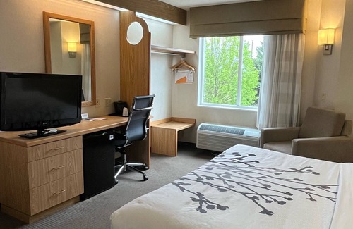Lynchburg Hotel | Spark by Hilton Lynchburg