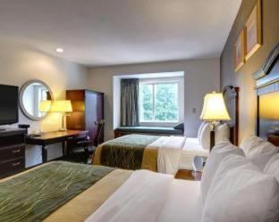 Sterling Hotel | Spark by Hilton Sterling Dulles Airport