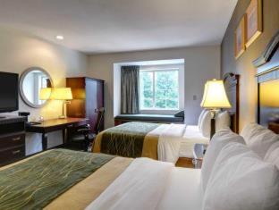 Sterling Hotel | Spark by Hilton Sterling Dulles Airport