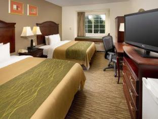 Sterling Hotel | Spark by Hilton Sterling Dulles Airport